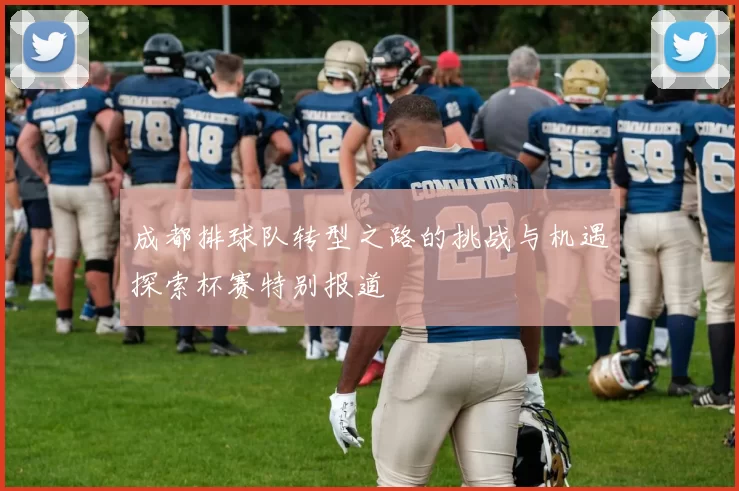 成都排球队转型之路的挑战与机遇探索杯赛特别报道